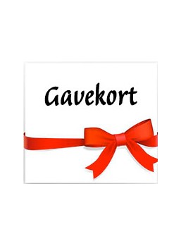 Gavekort 100 kr