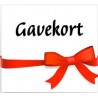 Gavekort 100 kr